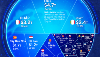 EU Strategy – Giải pháp toàn diện chinh phục thị trường châu Âu