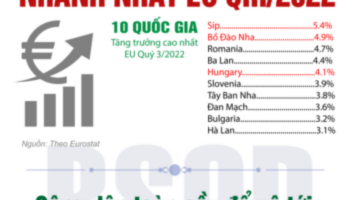 ĐIỂM TIN DI TRÚ THÁNG 11/2022