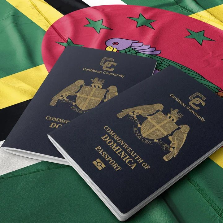 Visa