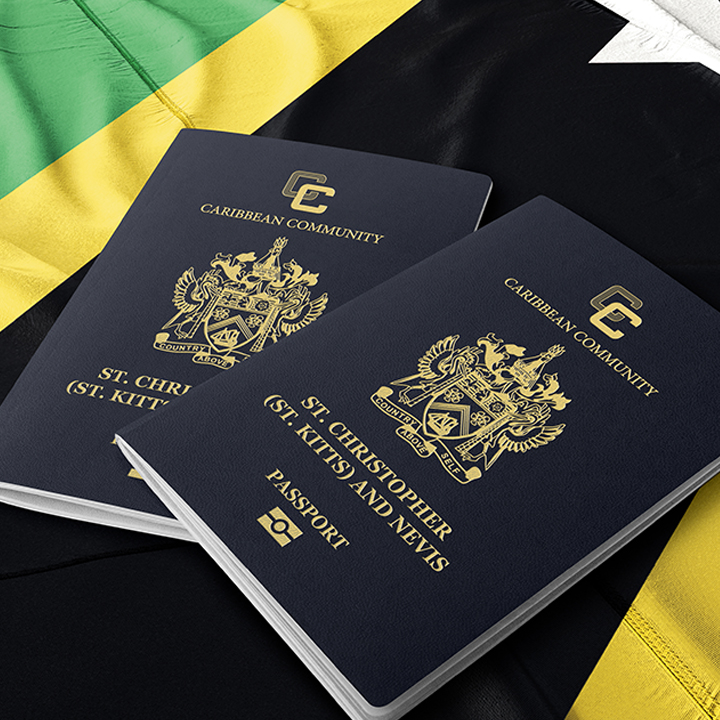 Visa